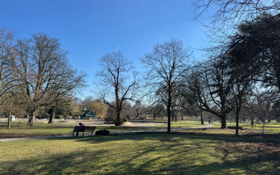 A park scene with leafless trees, blue sky, green grass, and long shadows. A person sits on a bench whilst a dog lies nearby. A small green building is visible in the background.